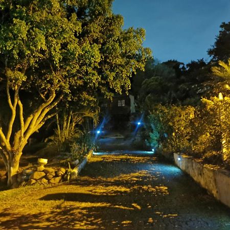 Cabana Vista Verde Cartago Exterior photo
